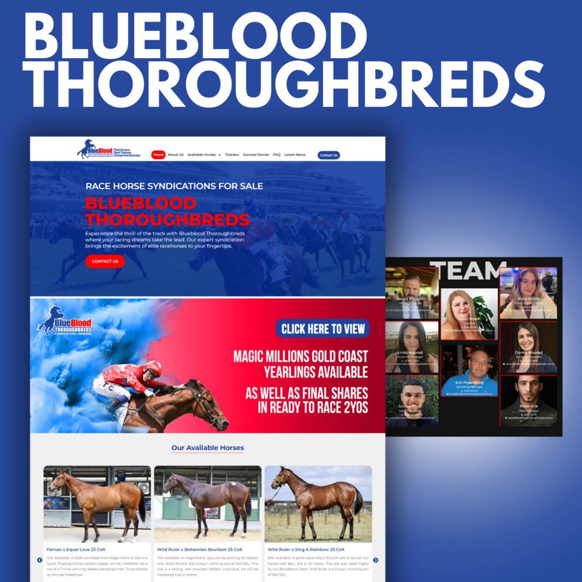 Blueblood Thoroughbreds